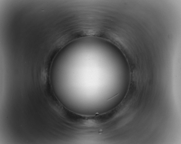 X0000088880741200706151811