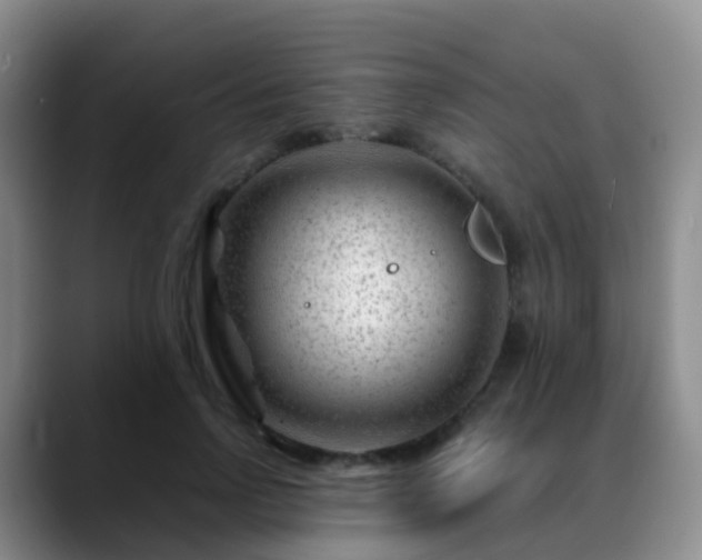 X0000088880742200706151811