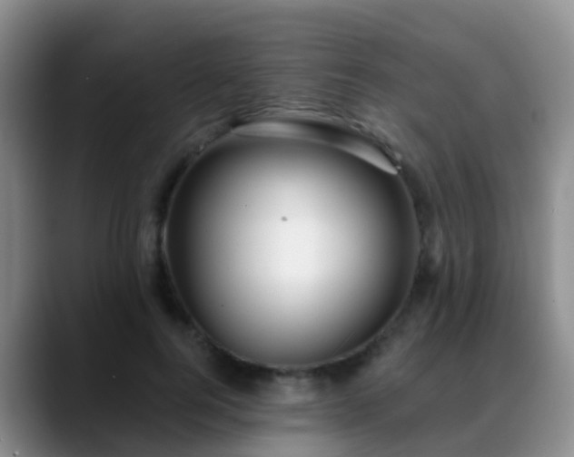 X0000088880744200706151811