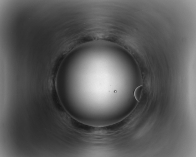 X0000088880746200706151811