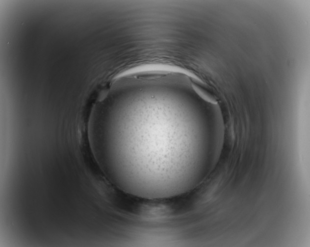 X0000088880747200706151811