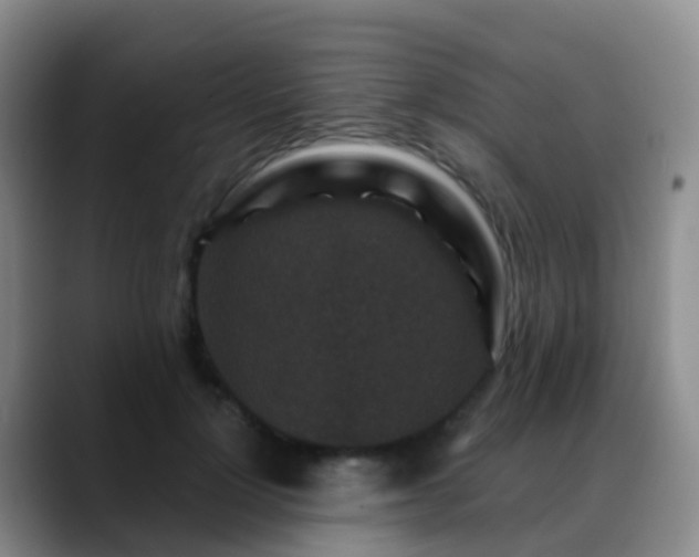 X0000088880748200706151811