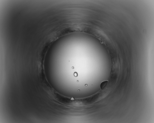 X0000088880749200706151811