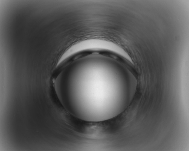 X0000088880750200706151811