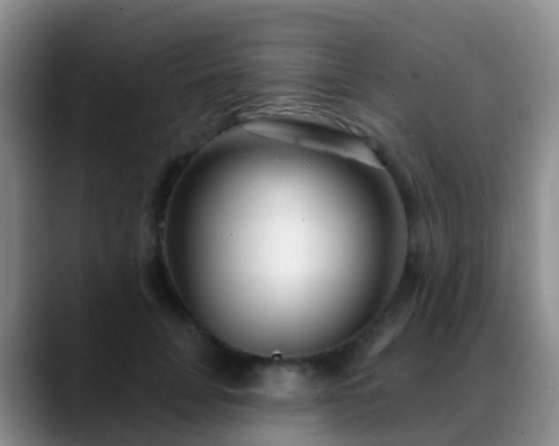 X0000088880751200706151811