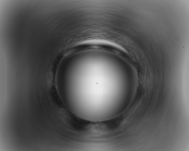 X0000088880752200706151811