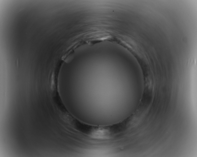 X0000088880754200706151811