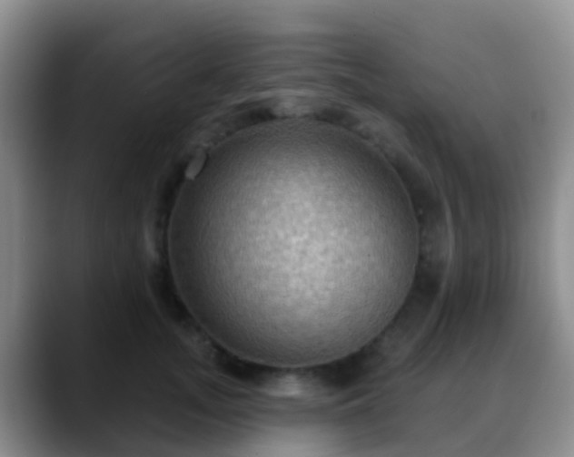 X0000088880755200706151811