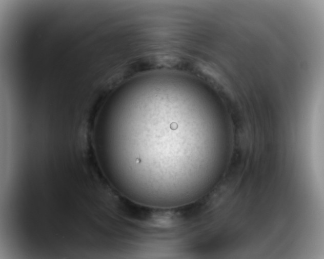 X0000088880757200706151811