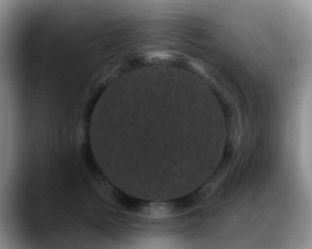 X0000088880758200706151811