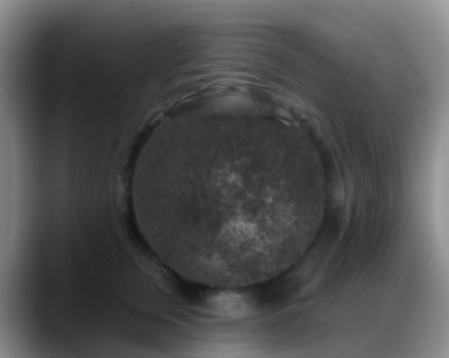 X0000088880759200706151811