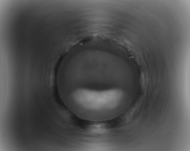 X0000088880760200706151811