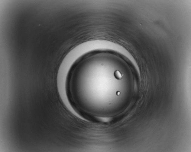 X0000088880762200706151811