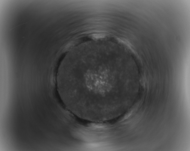 X0000088880763200706151811