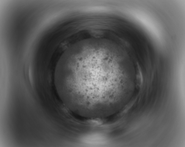 X0000088880765200706151811