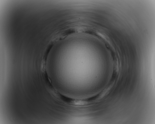 X0000088880766200706151811