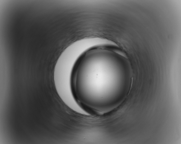 X0000088880768200706151811