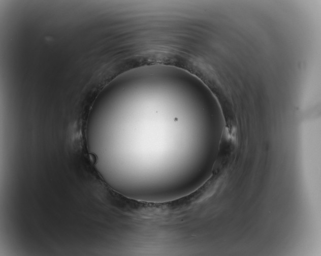 X0000088880771200706151811