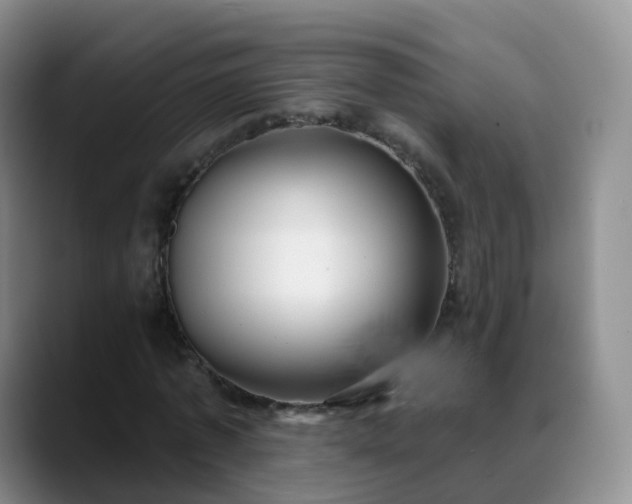 X0000088880773200706151811