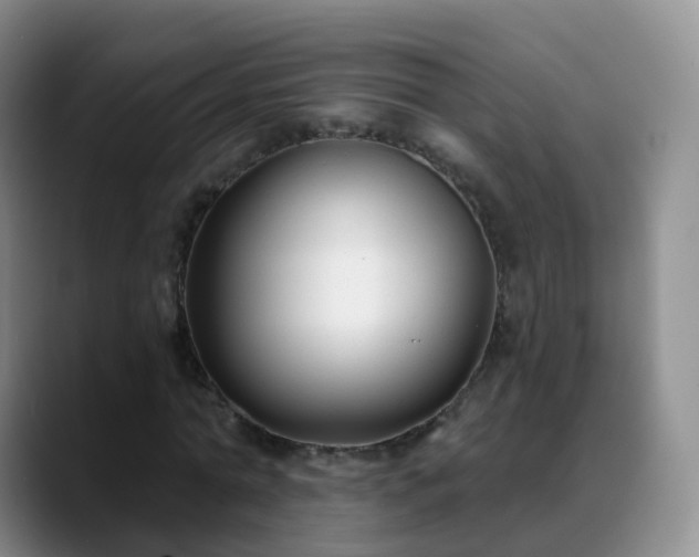 X0000088880774200706151811