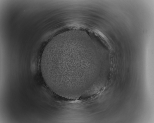 X0000088880775200706151811