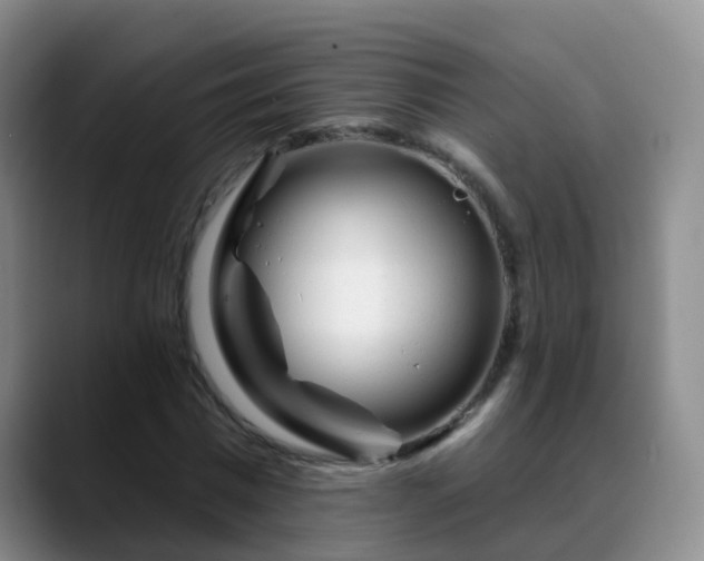 X0000088880777200706151810