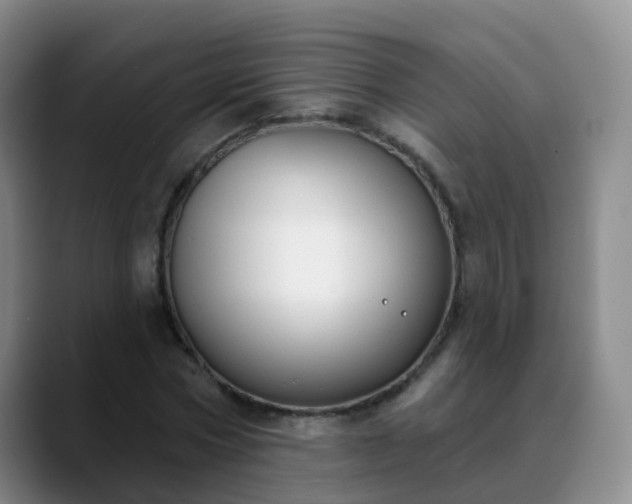 X0000088880778200706151810