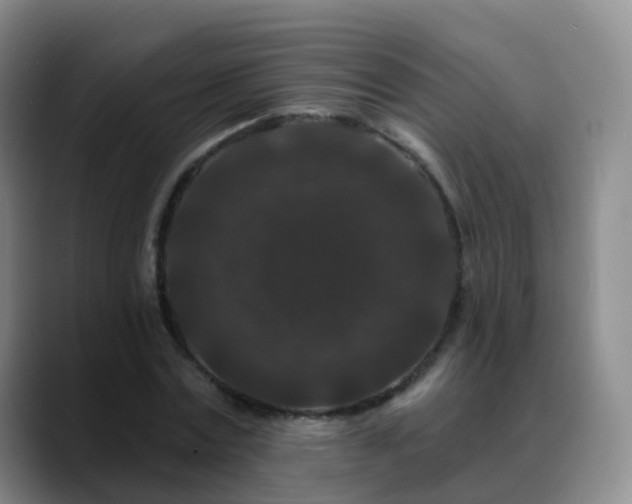 X0000088880779200706151810