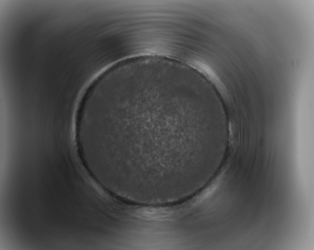 X0000088880780200706151810