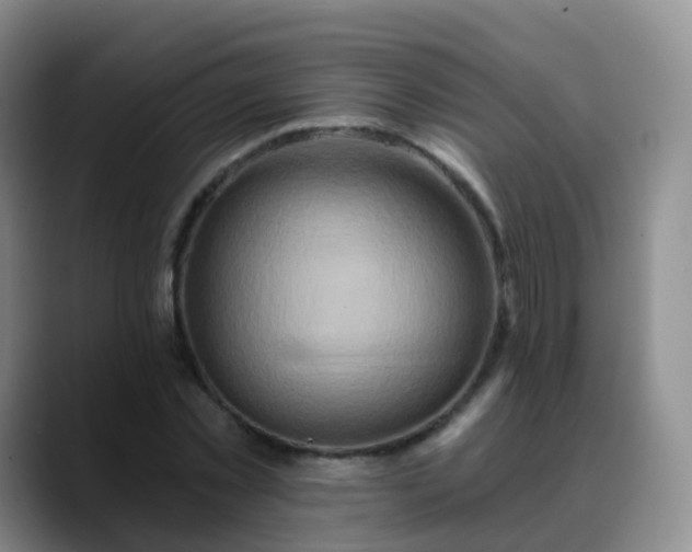 X0000088880781200706151810