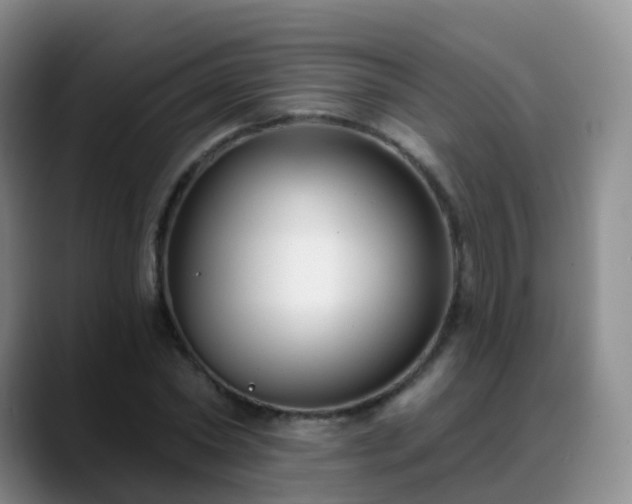 X0000088880782200706151810