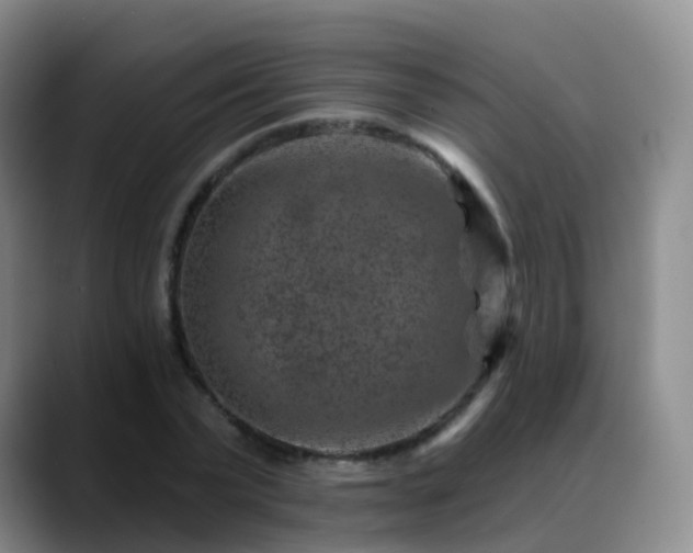 X0000088880783200706151810