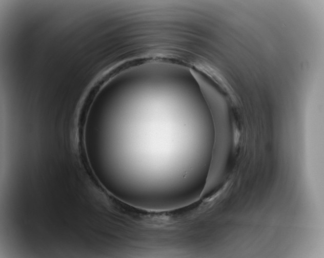 X0000088880784200706151810