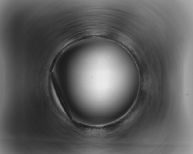 X0000088880786200706151810