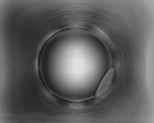 X0000088880788200706151810