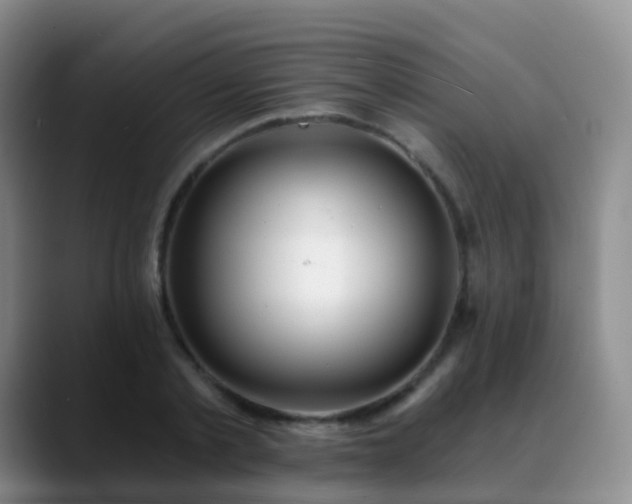 X0000088880789200706151810