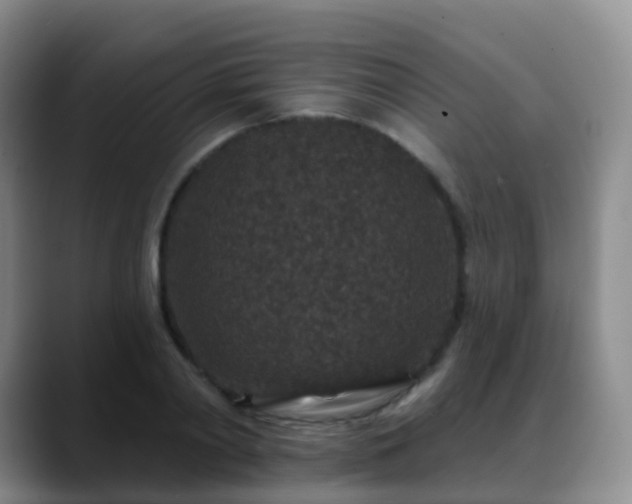 X0000088880790200706151810