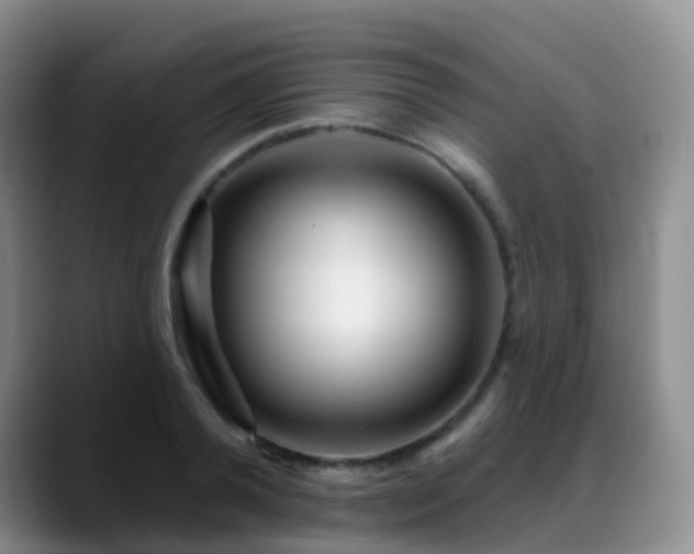 X0000088880792200706151810