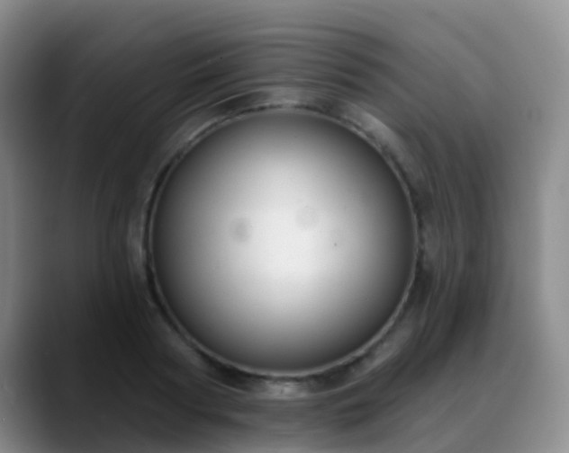 X0000088880794200706151810