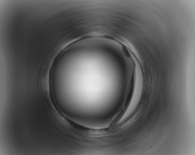 X0000088880795200706151810