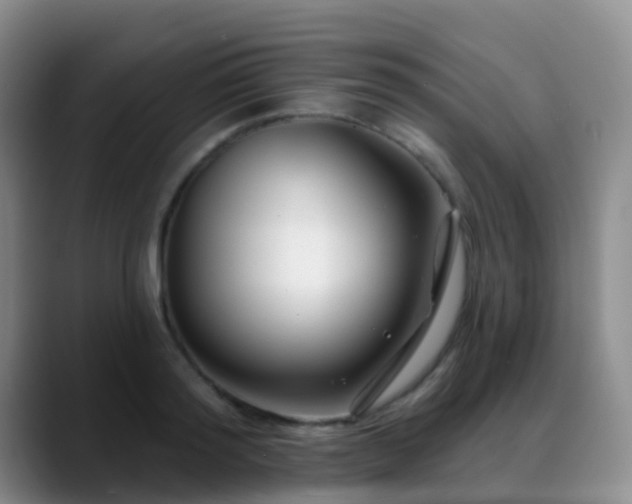 X0000088880796200706151810