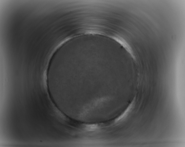 X0000088880798200706151810