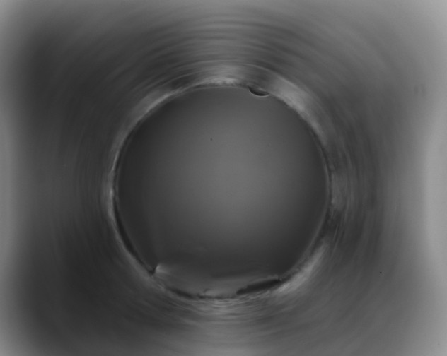 X0000088880802200706151810