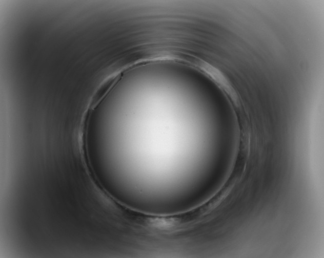 X0000088880805200706151810