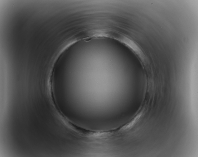 X0000088880806200706151810