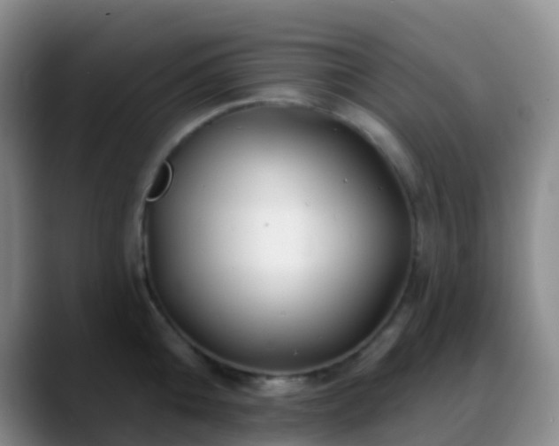 X0000088880808200706151810