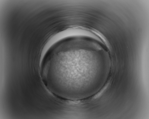 X0000088880809200706151810