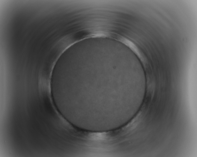 X0000088880810200706151810