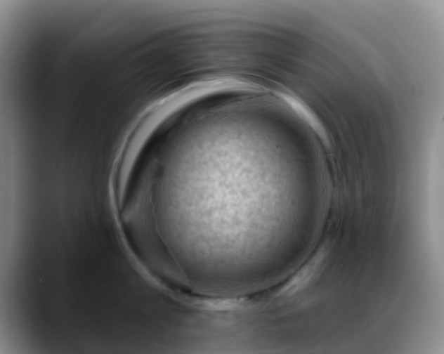 X0000088880813200706151810