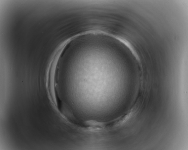 X0000088880815200706151810